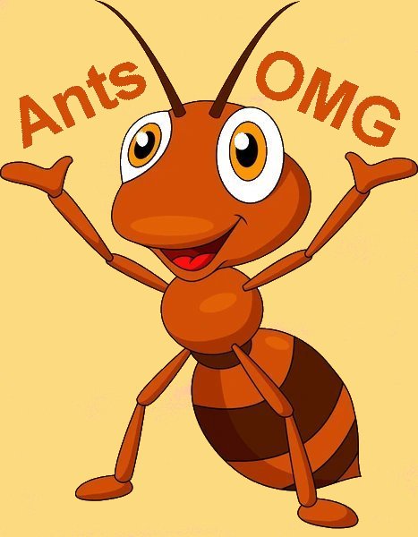 ant