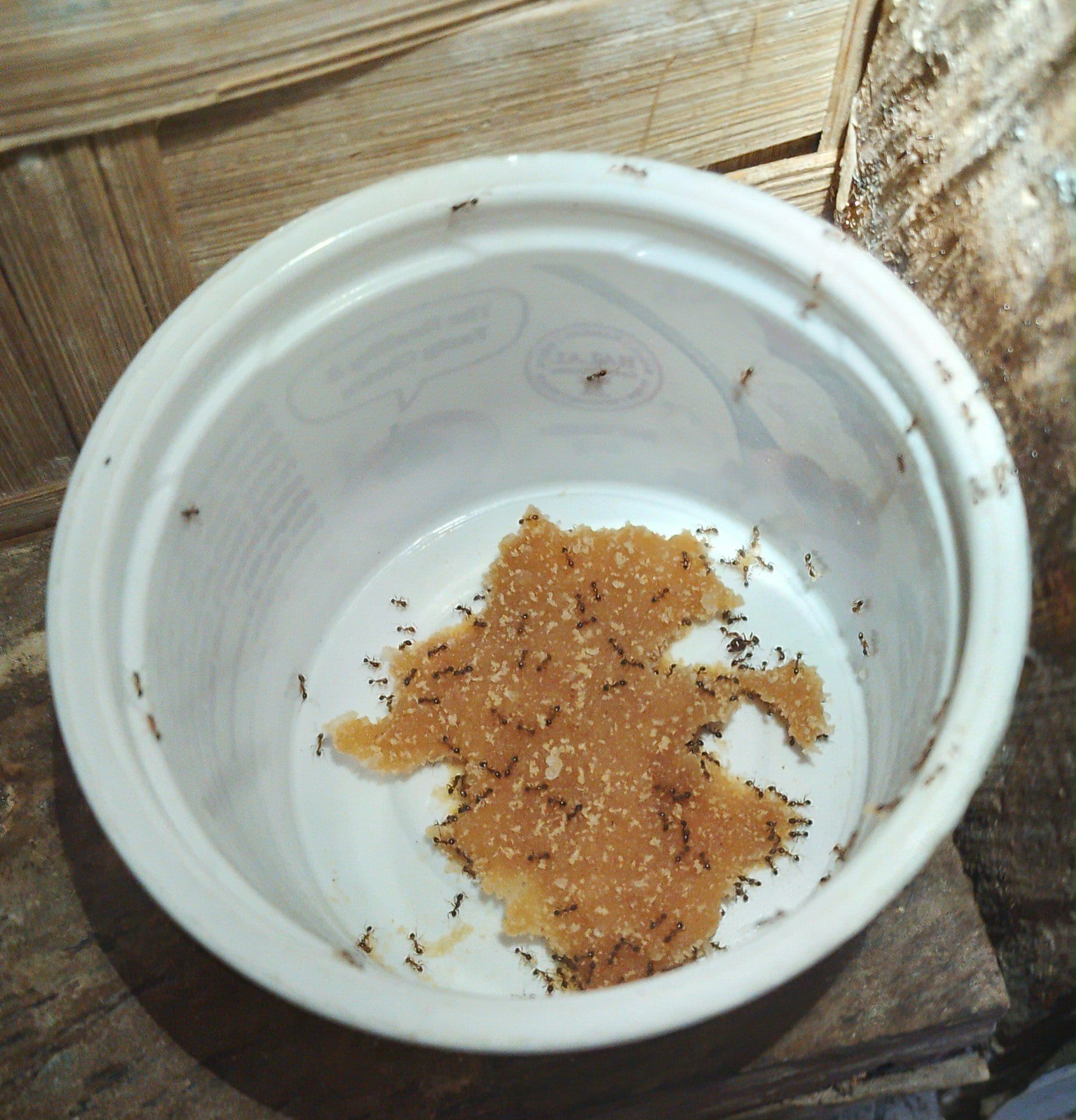 borax